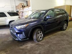 Salvage cars for sale at Ham Lake, MN auction: 2024 Toyota Rav4 XLE
