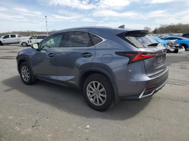 2020 Lexus NX 300H