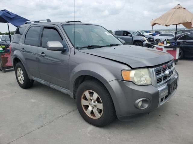 2009 Ford Escape Limited