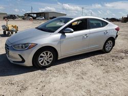 2017 Hyundai Elantra SE for sale in Temple, TX