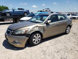 Salvage cars for sale from Copart Haslet, TX: 2008 Honda Accord EXL