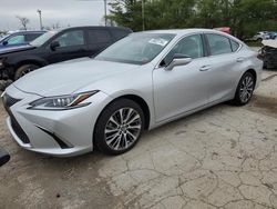 Salvage cars for sale at Lexington, KY auction: 2019 Lexus ES 350