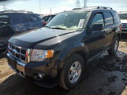 Ford Escape Limited salvage cars for sale: 2012 Ford Escape Limited