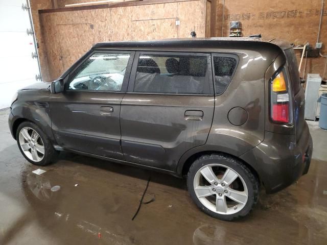 2010 KIA Soul +