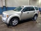 2011 Ford Escape XLS