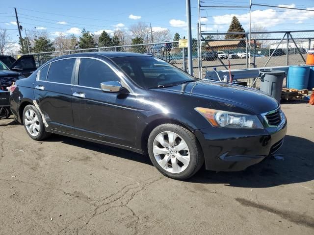 2008 Honda Accord EXL