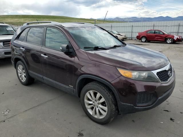 2011 KIA Sorento Base