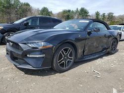 Salvage cars for sale from Copart Mendon, MA: 2019 Ford Mustang