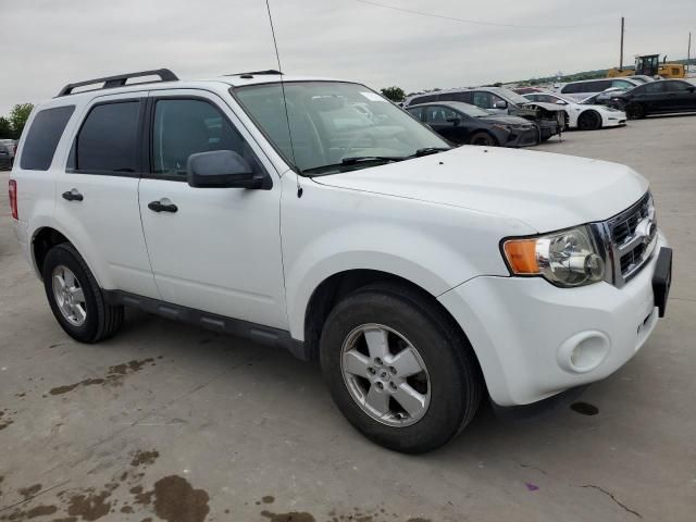 2011 Ford Escape XLT