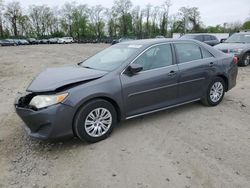Salvage cars for sale at Baltimore, MD auction: 2013 Toyota Camry L