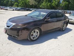 Salvage cars for sale at Ocala, FL auction: 2009 Acura TL