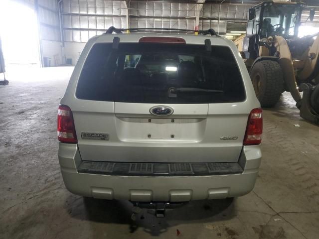 2008 Ford Escape XLT