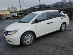 Salvage cars for sale at Marlboro, NY auction: 2014 Honda Odyssey LX