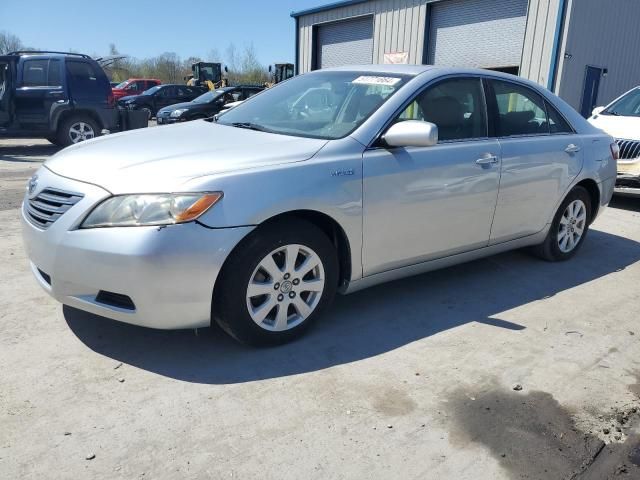 2009 Toyota Camry Hybrid