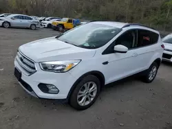 Salvage cars for sale from Copart Marlboro, NY: 2018 Ford Escape SE
