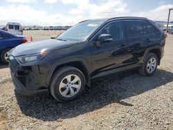 Salvage cars for sale from Copart San Diego, CA: 2021 Toyota Rav4 LE