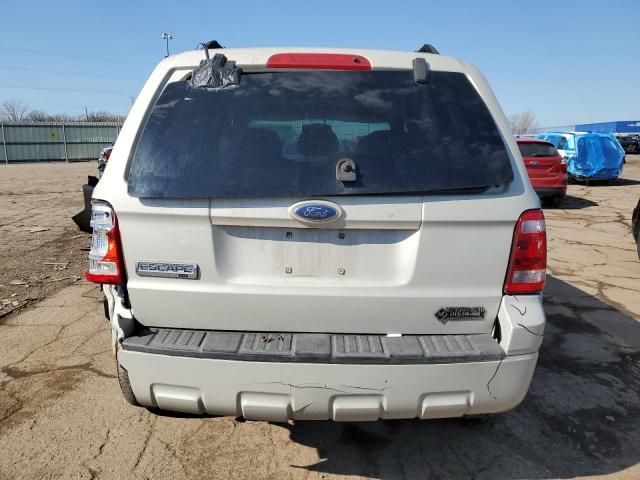 2008 Ford Escape XLT