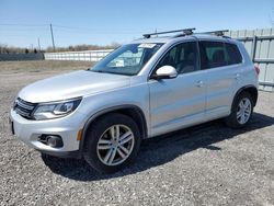 Volkswagen Tiguan S salvage cars for sale: 2014 Volkswagen Tiguan S