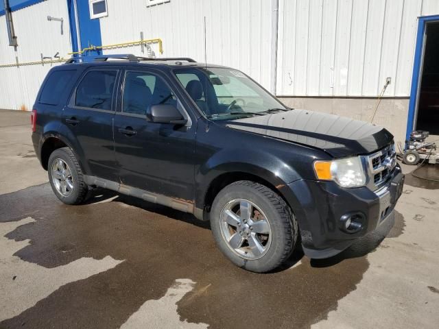 2011 Ford Escape Limited