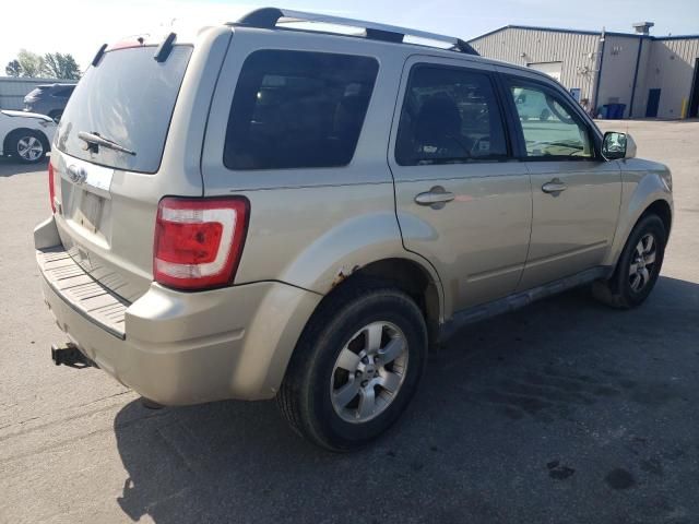 2010 Ford Escape Limited