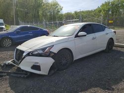 Nissan Altima s salvage cars for sale: 2020 Nissan Altima S