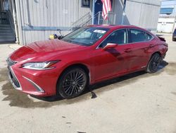 Salvage cars for sale from Copart Los Angeles, CA: 2022 Lexus ES 300H Base