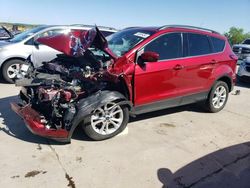 Salvage cars for sale at Grand Prairie, TX auction: 2019 Ford Escape SEL