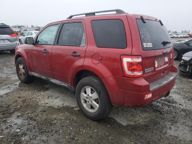 2010 Ford Escape XLT