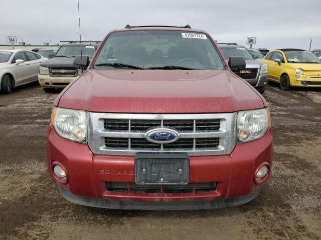 2012 Ford Escape XLT