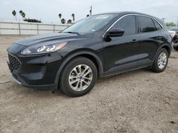 Salvage cars for sale at Mercedes, TX auction: 2021 Ford Escape SE