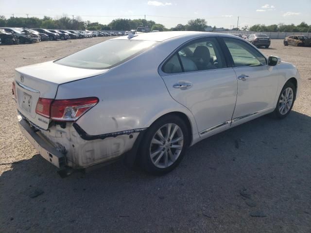 2010 Lexus ES 350