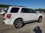 2008 Ford Escape Limited