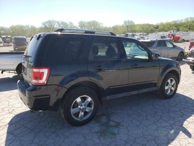 2011 Ford Escape Limited