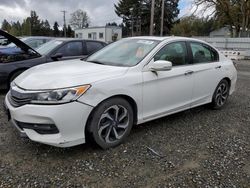 Salvage cars for sale from Copart Graham, WA: 2016 Honda Accord EX