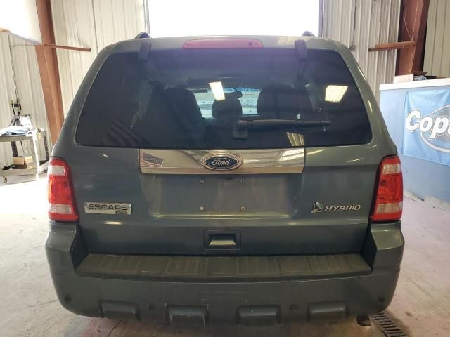 2010 Ford Escape Hybrid