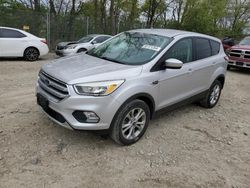 Ford Escape salvage cars for sale: 2017 Ford Escape SE