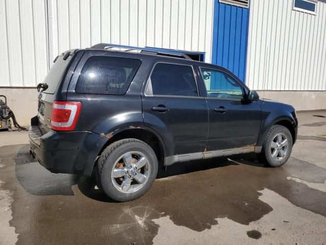 2011 Ford Escape Limited