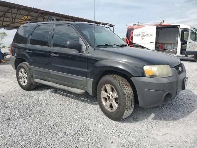 2006 Ford Escape XLT