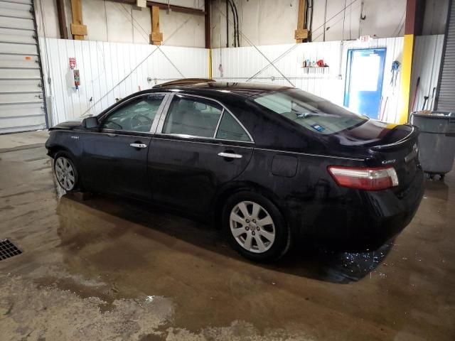 2009 Toyota Camry Hybrid