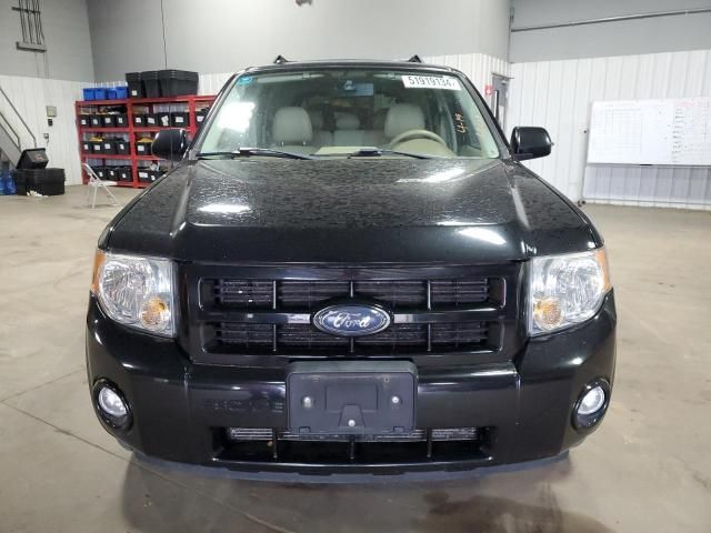 2008 Ford Escape Limited