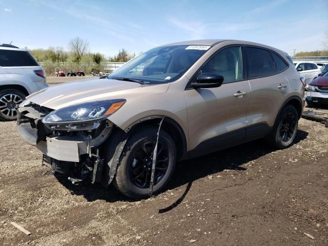 2020 Ford Escape SE Sport