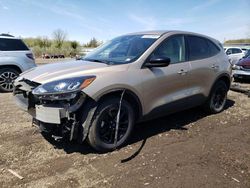 Salvage cars for sale at Columbia Station, OH auction: 2020 Ford Escape SE Sport