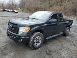 Vehiculos salvage en venta de Copart Marlboro, NY: 2014 Ford F150 Super Cab