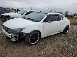 Salvage cars for sale from Copart Magna, UT: 2013 Scion 2013 Toyota Scion TC