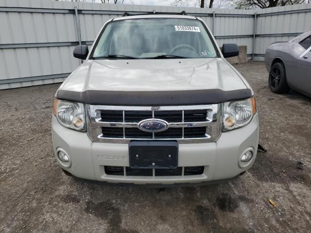 2008 Ford Escape XLT