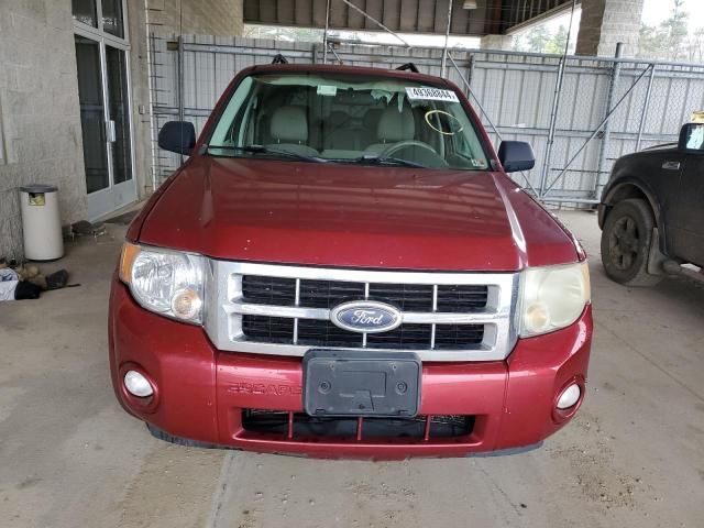 2008 Ford Escape XLT