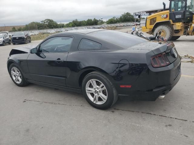 2013 Ford Mustang