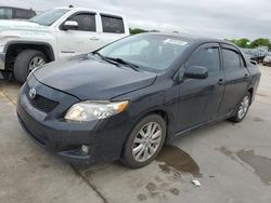 Salvage cars for sale at Grand Prairie, TX auction: 2010 Toyota Corolla Base