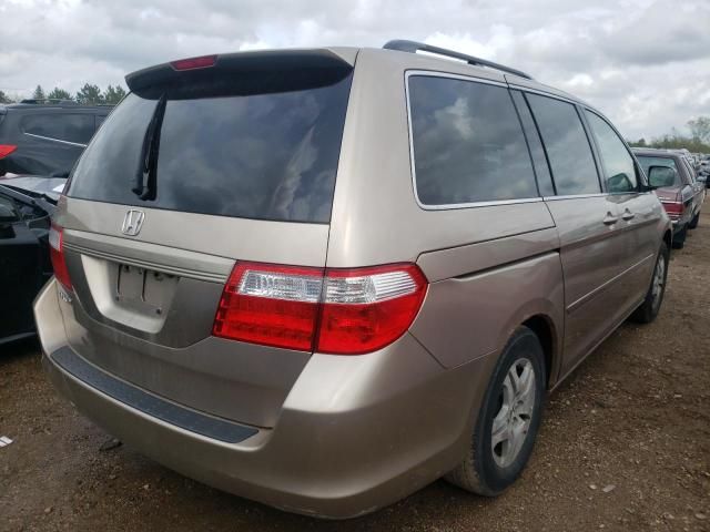 2006 Honda Odyssey EXL