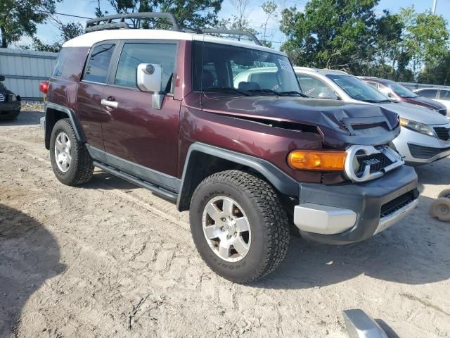 2007 Toyota FJ Cruiser